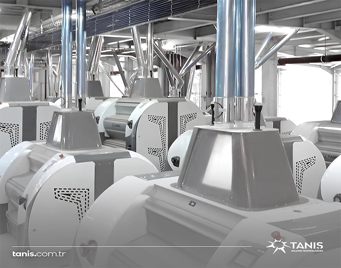 Tanis Değirmen Fabrika Üretim Hattı | Modern Değirmen Teknolojisi