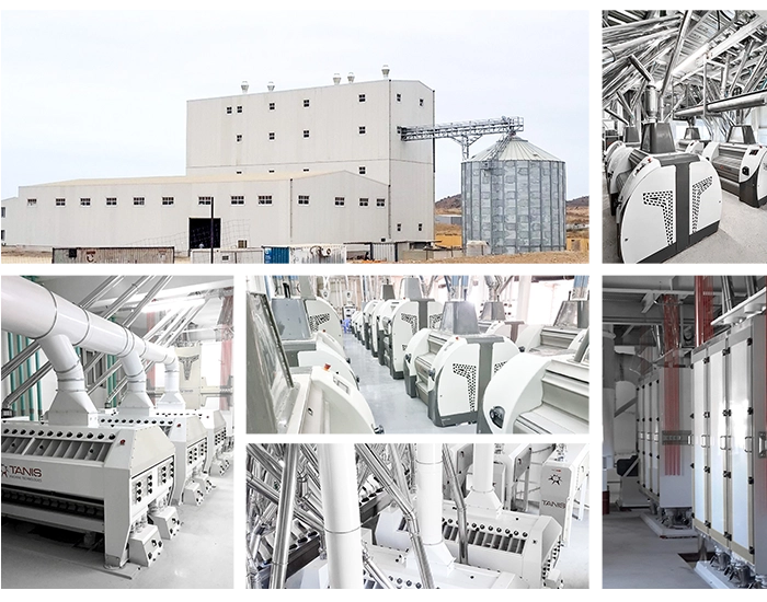 Complete Flour Mill Plant & Equipment by TANIS | Turnkey Milling Solutions