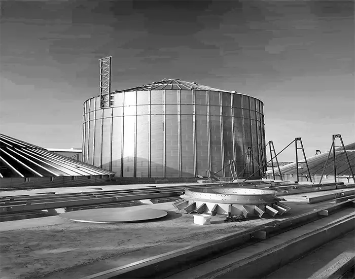 Tanis Grain Storage Silo Construction Project - Industrial Storage Solutions